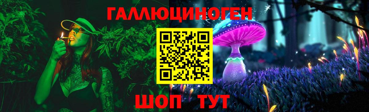 Псилоцибиновые грибы Psilocybe  Вход с VPN  Зима  Галлюциногенные грибы мухоморы 