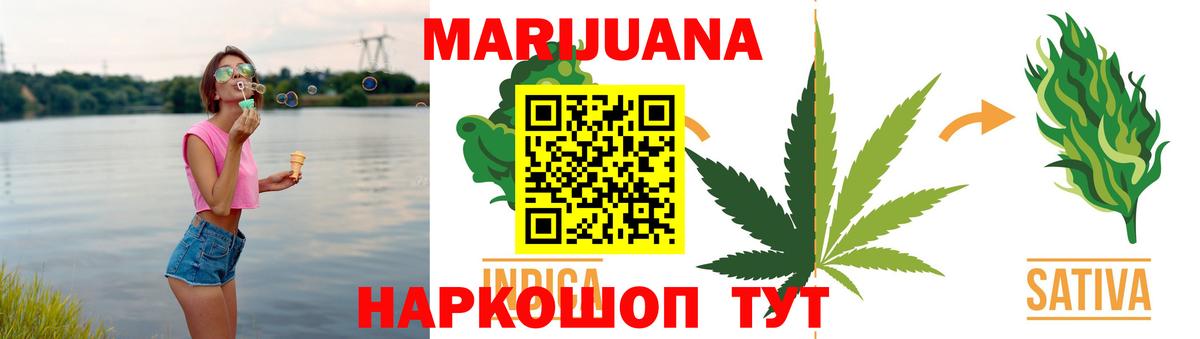 Каннабис сатива Зима